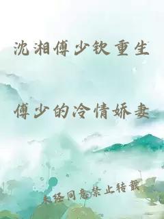 沈湘傅少钦重生