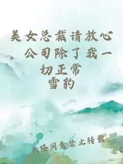 美女总裁请放心，公司除了我一切正常